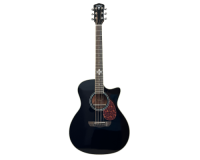 BULLFIGHTER D2XA Black
