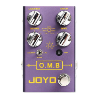 JOYO R-06