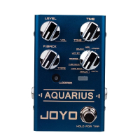 JOYO R-07