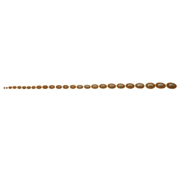 Pisoni Alto-Saxophone Pads Complet Sets - Pisoni Alto-Saxophone Pads Complet Sets