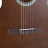 GEWApure Classical Guitar Basic Honey Walnut 4/4 - GEWApure Classical Guitar Basic Honey Walnut 4/4