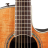 Ovation CS24P-FKOA Celebrity Standard Plus Mid Cutaway Figured Koa - Ovation CS24P-FKOA Celebrity Standard Plus Mid Cutaway Figured Koa