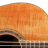 Ovation CS24P-FKOA Celebrity Standard Plus Mid Cutaway Figured Koa - Ovation CS24P-FKOA Celebrity Standard Plus Mid Cutaway Figured Koa