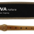 GEWA Natura C-Soprano Recorder - GEWA Natura C-Soprano Recorder