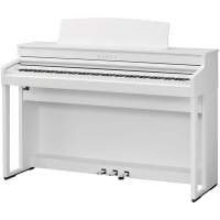 Kawai CA401W