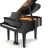 SCHULZE POLLMANN SU 148H Black Gloss - SCHULZE POLLMANN SU 148H Black Gloss