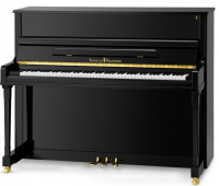 SCHULZE POLLMANN SU 122H Black Gloss + Abel® hammer