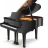 SCHULZE POLLMANN SU 160H Black Gloss - SCHULZE POLLMANN SU 160H Black Gloss