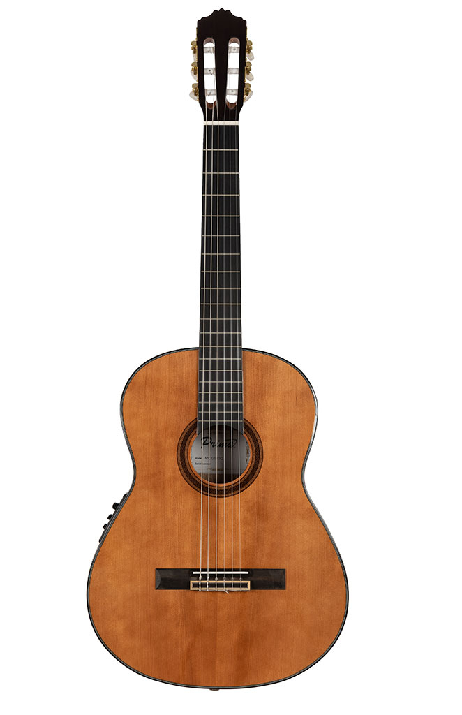 Гитара акустическая с кейсом Larrivee С-10 Custom