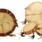 GEWA Shaman Drum 30 - GEWA Shaman Drum 30