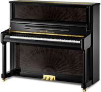 SCHULZE POLLMANN SU 132A Black Peacock Gloss