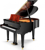 SCHULZE POLLMANN SU 148MH Black Gloss with Feather Mahogany Inlays