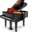 SCHULZE POLLMANN SU 148MH Black Gloss with Feather Mahogany Inlays - SCHULZE POLLMANN SU 148MH Black Gloss with Feather Mahogany Inlays