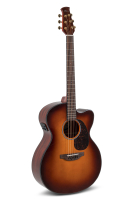 Applause AEJ-96-1 Jumbo Cutaway