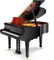 SCHULZE POLLMANN SU 160MH Black Gloss with Feather Mahogany Inlays