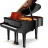 SCHULZE POLLMANN SU 160MH Black Gloss with Feather Mahogany Inlays - SCHULZE POLLMANN SU 160MH Black Gloss with Feather Mahogany Inlays