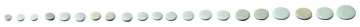 Pisoni Piccolo Flute Pads Complete Set Universal - Pisoni Piccolo Flute Pads Complete Set Universal