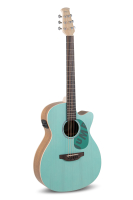 Applause AEO-69-T Jump E-Acoustic Celeste