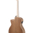 Applause AEO-69-T Jump E-Acoustic Celeste - Applause AEO-69-T Jump E-Acoustic Celeste