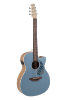 Applause AEO-69-B Jump E-Acoustic Lagoon