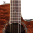 Ovation CS24P-NBM Celebrity Standard Plus Mid Cutaway Nutmeg Burled Maple - Ovation CS24P-NBM Celebrity Standard Plus Mid Cutaway Nutmeg Burled Maple