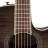 Ovation CS24P-TBBY Celebrity Standard Plus Mid Cutaway Trans Black Flame Maple - Ovation CS24P-TBBY Celebrity Standard Plus Mid Cutaway Trans Black Flame Maple