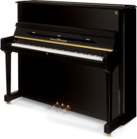 SCHULZE POLLMANN A 112A Black Gloss