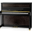 SCHULZE POLLMANN A 121A Black Peacock Gloss - SCHULZE POLLMANN A 121A Black Peacock Gloss