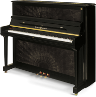 SCHULZE POLLMANN A 112 Black Peacock Gloss