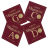 LARSEN Magnacore Strong 4/4 - LARSEN Magnacore Strong 4/4