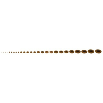 GEWA Pisoni Pads Soprano Sax - GEWA Pisoni Pads Soprano Sax