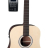 VGS RT-1 E Root - VGS RT-1 E Root