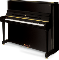 SCHULZE POLLMANN A 125R Black Gloss + Renner® Action (Made in Germany)