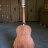 BULLFIGHTER MS-36MS With bag, Natural  - BULLFIGHTER MS-36MS With bag, Natural 