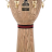 LATIN PERCUSSION DJEMBE GALAXY GIOVANNI LP797Z-AWC - LATIN PERCUSSION DJEMBE GALAXY GIOVANNI LP797Z-AWC