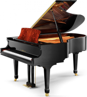 SCHULZE POLLMANN A 186 Black Gloss with Feather Mahogany Inlays