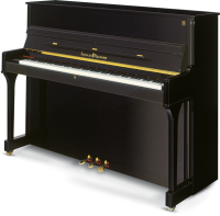 SCHULZE POLLMANN M 118 Black Gloss