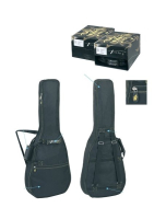 GEWAPure Turtle Series 100 Acoustic