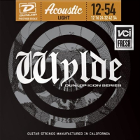 Dunlop ZWP Zakk Wylde Acoustic Light 12-54