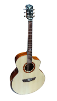 BULLFIGHTER D5C NA