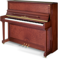 SCHULZE POLLMANN M 126 Mahogany Peacock Gloss