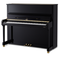 CHALLEN MP125D EBHP