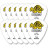 Dunlop 424P.73 Tortex Wedge - Dunlop 424P.73 Tortex Wedge