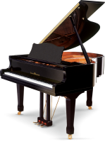 SCHULZE POLLMANN M 160 Black Gloss