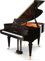 SCHULZE POLLMANN M 160 Black Victoria Gloss