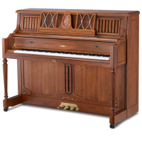 CHALLEN MP500 WAST