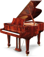 SCHULZE POLLMANN M 160 Mahogany Feather Gloss