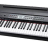 Medeli SP3000 - Medeli SP3000