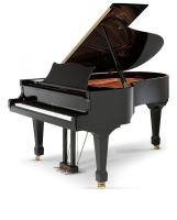 SCHULZE POLLMANN M 197 Black Gloss