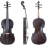 GEWA Violin Germania Model Paris - GEWA Violin Germania Model Paris
